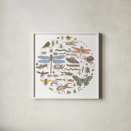 Insect Circle I Bright by Wild Apple Portfolio. Shown in a crisp white glass frame for a clean and minimalist style. Available as an archival giclee rolled canvas, fine art paper, or poster print. SKU 42866a.