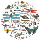Insect Circle I Bright v2 by Wild Apple Portfolio. SKU 52903a. Archival Giclee Fine art print for wall decor.