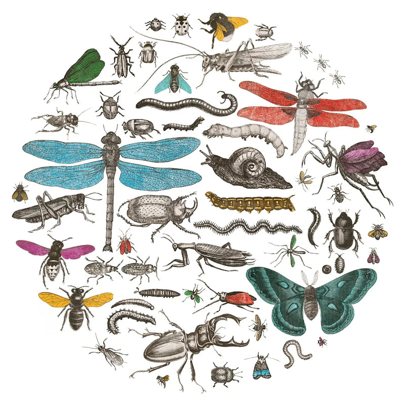 Insect Circle I Bright v2 by Wild Apple Portfolio. SKU 52903a. Archival Giclee Fine art print for wall decor.