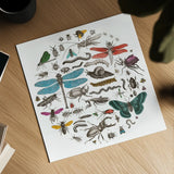 Insect Circle I Bright v2 by Wild Apple Portfolio. Shown as a detailed flat fine art print, highlighting archival giclee quality. Available as an archival giclee rolled canvas, fine art paper, or poster print. SKU 52903a.