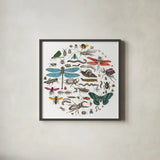 Insect Circle I Bright v2 by Wild Apple Portfolio. Shown in a sleek black glass frame for a contemporary gallery look. Available as an archival giclee rolled canvas, fine art paper, or poster print. SKU 52903a.