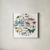 Insect Circle I Bright v2 by Wild Apple Portfolio. Shown in a crisp white glass frame for a clean and minimalist style. Available as an archival giclee rolled canvas, fine art paper, or poster print. SKU 52903a.