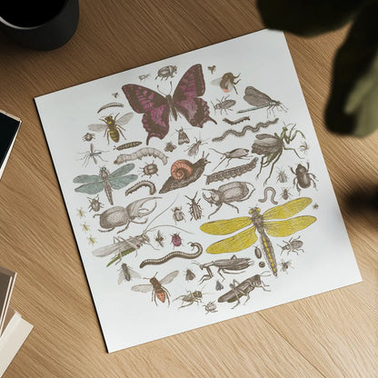 Insect Circle II Bright by Wild Apple Portfolio. Shown as a detailed flat fine art print, highlighting archival giclee quality. Available as an archival giclee rolled canvas, fine art paper, or poster print. SKU 42867a.