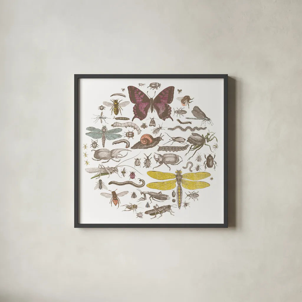 Insect Circle II Bright by Wild Apple Portfolio. Shown in a sleek black glass frame for a contemporary gallery look. Available as an archival giclee rolled canvas, fine art paper, or poster print. SKU 42867a.
