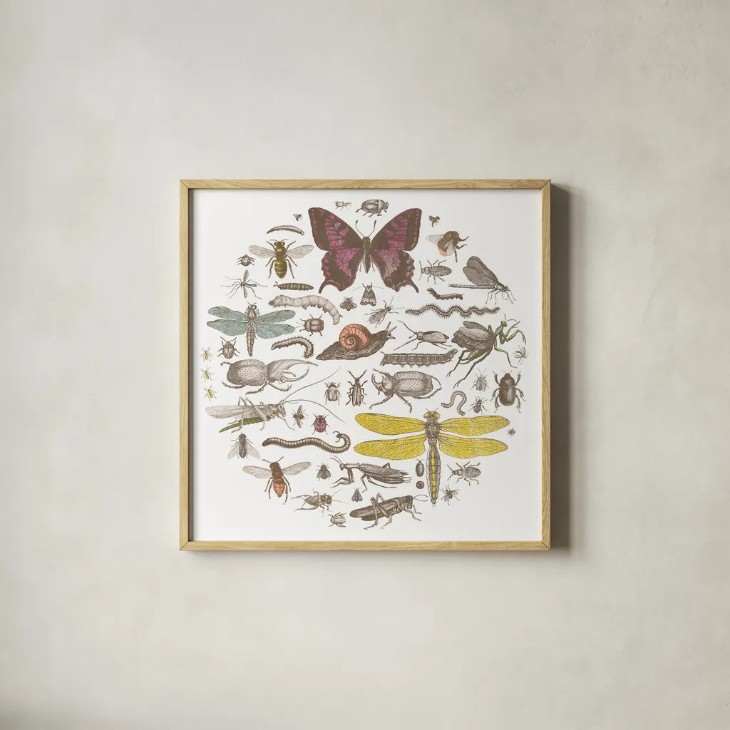 Insect Circle II Bright by Wild Apple Portfolio. Shown in a natural wood glass frame for a timeless modern aesthetic. Available as an archival giclee rolled canvas, fine art paper, or poster print. SKU 42867a.
