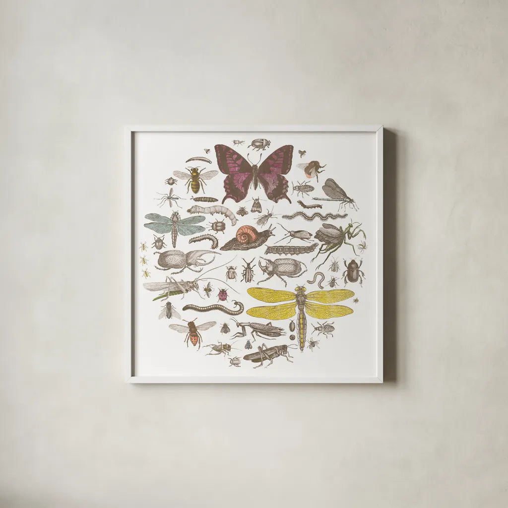 Insect Circle II Bright by Wild Apple Portfolio. Shown in a crisp white glass frame for a clean and minimalist style. Available as an archival giclee rolled canvas, fine art paper, or poster print. SKU 42867a.