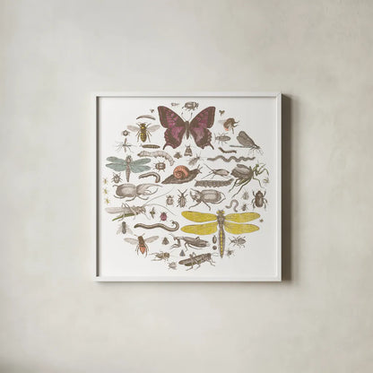 Insect Circle II Bright by Wild Apple Portfolio. Shown in a crisp white glass frame for a clean and minimalist style. Available as an archival giclee rolled canvas, fine art paper, or poster print. SKU 42867a.