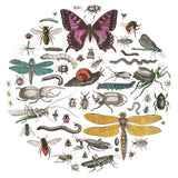 Insect Circle II Bright v2 by Wild Apple Portfolio. SKU 52904a. Archival Giclee Fine art print for wall decor.