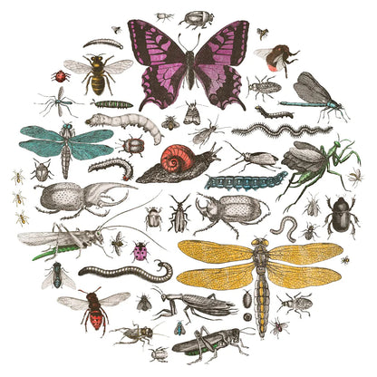 Insect Circle II Bright v2 by Wild Apple Portfolio. SKU 52904a. Archival Giclee Fine art print for wall decor.