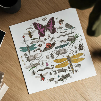 Insect Circle II Bright v2 by Wild Apple Portfolio. Shown as a detailed flat fine art print, highlighting archival giclee quality. Available as an archival giclee rolled canvas, fine art paper, or poster print. SKU 52904a.