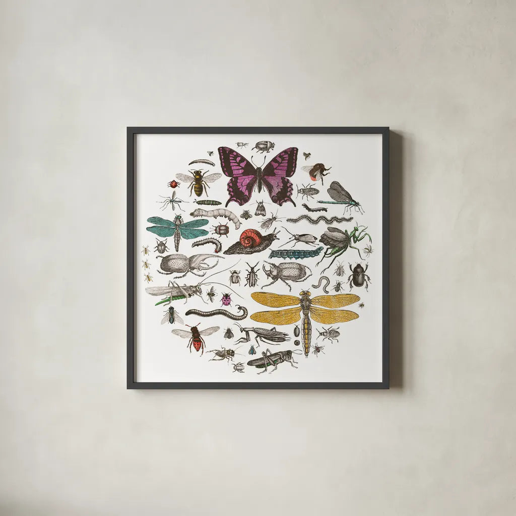 Insect Circle II Bright v2 by Wild Apple Portfolio. Shown in a sleek black glass frame for a contemporary gallery look. Available as an archival giclee rolled canvas, fine art paper, or poster print. SKU 52904a.