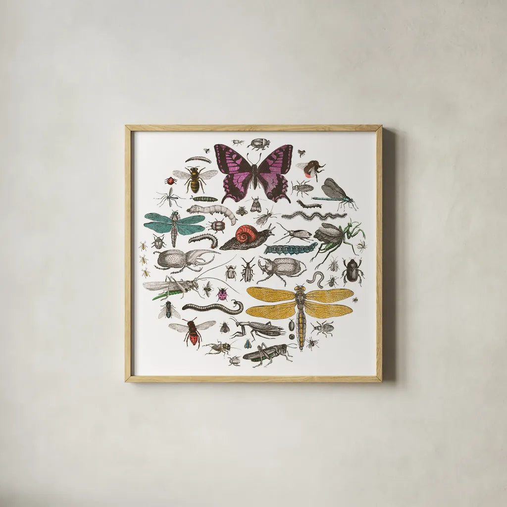 Insect Circle II Bright v2 by Wild Apple Portfolio. Shown in a natural wood glass frame for a timeless modern aesthetic. Available as an archival giclee rolled canvas, fine art paper, or poster print. SKU 52904a.