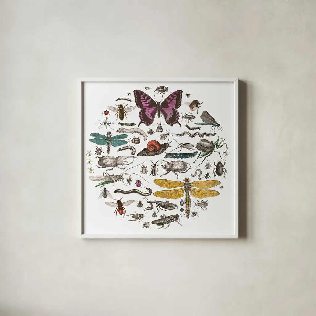 Insect Circle II Bright v2 by Wild Apple Portfolio. Shown in a crisp white glass frame for a clean and minimalist style. Available as an archival giclee rolled canvas, fine art paper, or poster print. SKU 52904a.