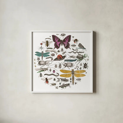 Insect Circle II Bright v2 by Wild Apple Portfolio. Shown in a crisp white glass frame for a clean and minimalist style. Available as an archival giclee rolled canvas, fine art paper, or poster print. SKU 52904a.