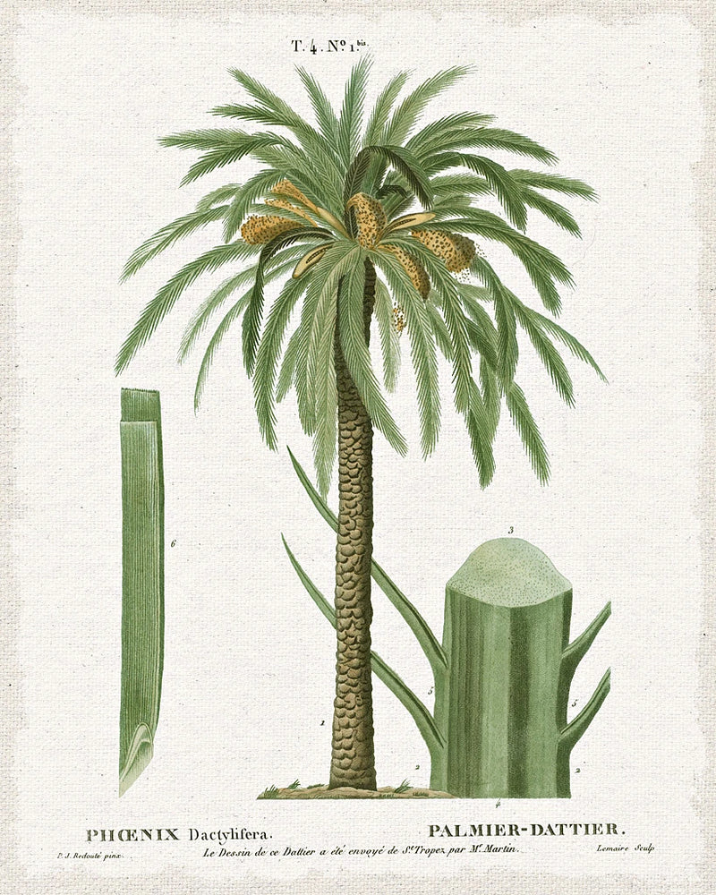 Island Botanicals II by Wild Apple Portfolio