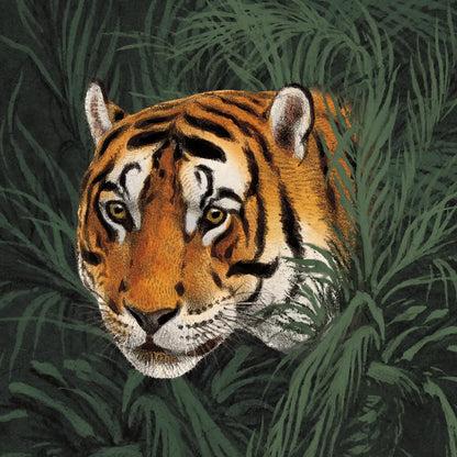 Jungle Cat Bust II by Wild Apple Portfolio. SKU 95608a. Archival Giclee Fine art print for wall decor.