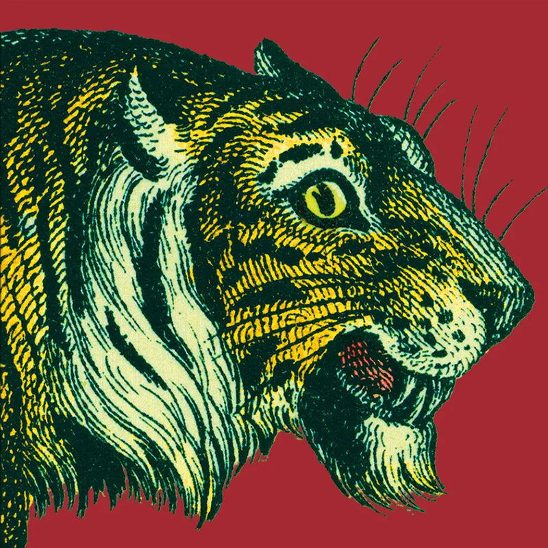 Jungle Flair I by Wild Apple Portfolio. SKU 45401a. Archival Giclee Fine art print for wall decor.
