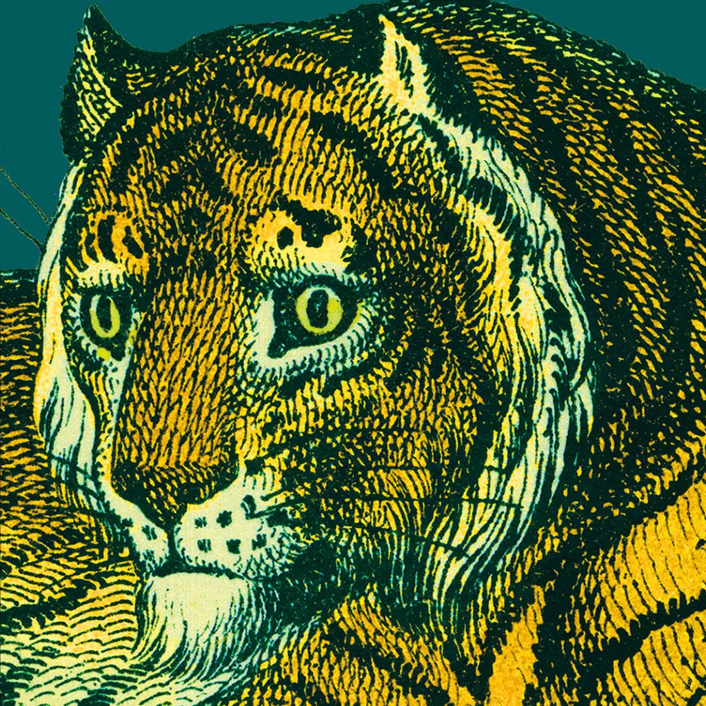 Jungle Flair II by Wild Apple Portfolio. SKU 45402a. Archival Giclee Fine art print for wall decor.