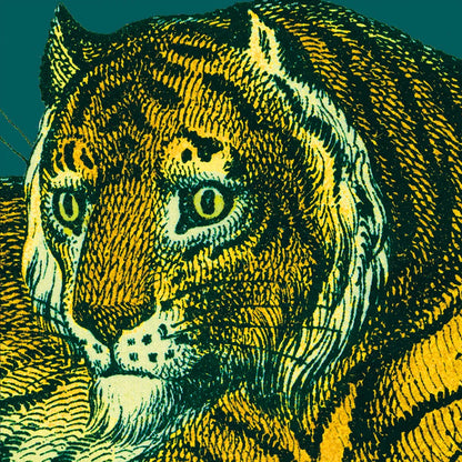 Jungle Flair II by Wild Apple Portfolio. SKU 45402a. Archival Giclee Fine art print for wall decor.