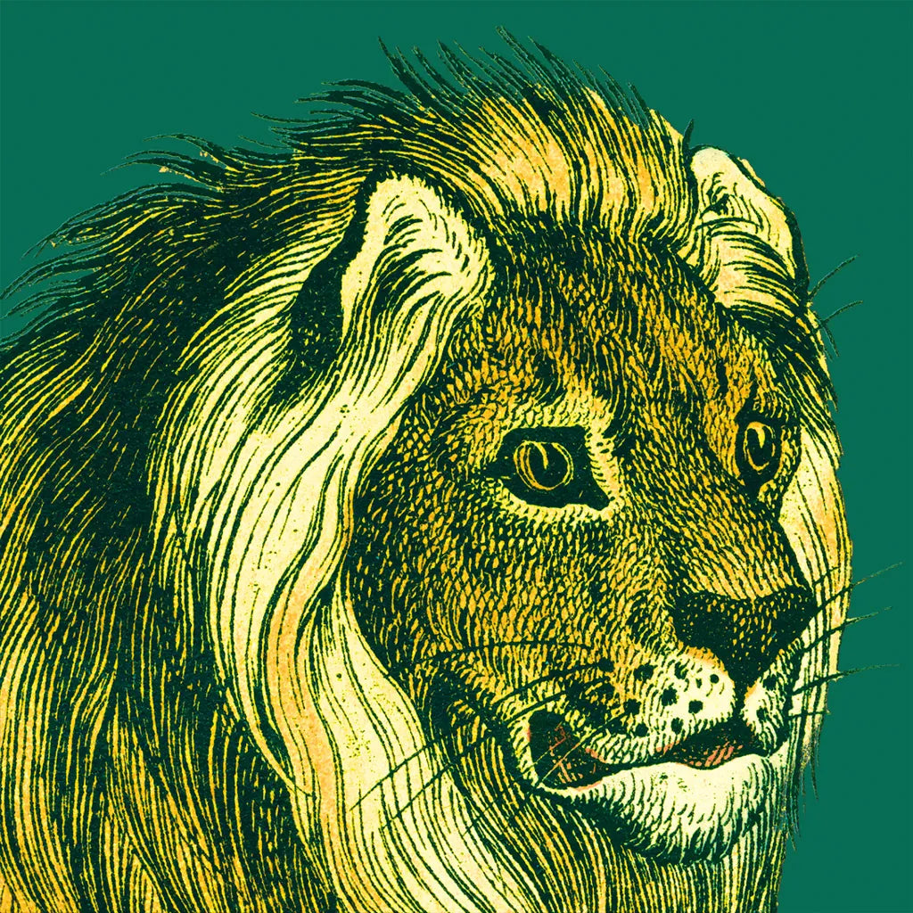 Jungle Flair III by Wild Apple Portfolio. SKU 45403a. Archival Giclee Fine art print for wall decor.