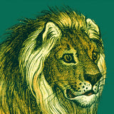 Jungle Flair III by Wild Apple Portfolio. SKU 45403a. Archival Giclee Fine art print for wall decor.