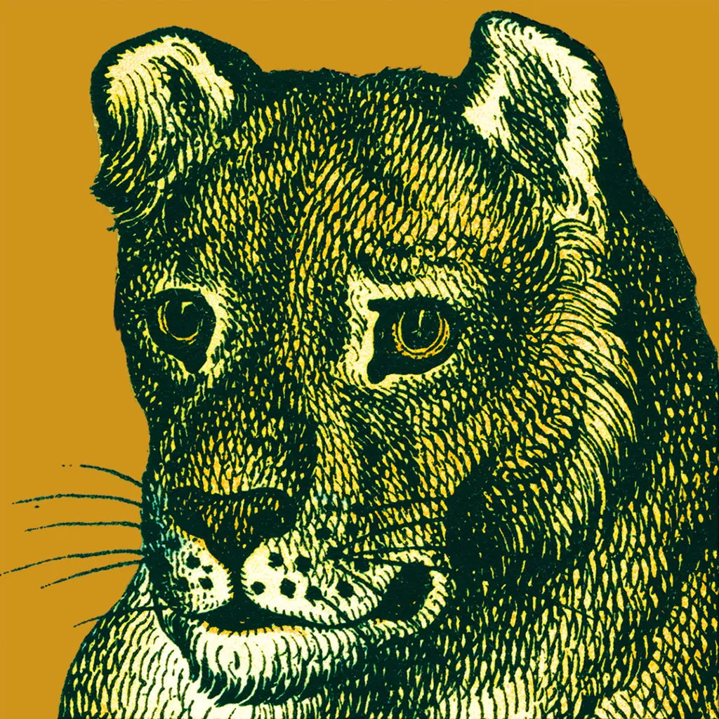 Jungle Flair IV by Wild Apple Portfolio. SKU 45404a. Archival Giclee Fine art print for wall decor.