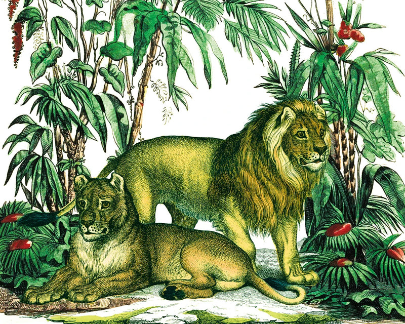 Jungle Flair VI by Wild Apple Portfolio