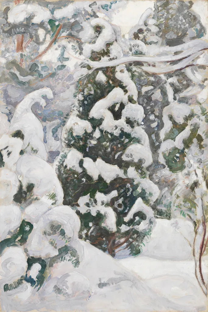 Juniper Tree In The Snow by Wild Apple Portfolio. SKU 104293h. Archival Giclee Fine art print for wall decor.