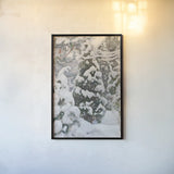 Juniper Tree In The Snow by Wild Apple Portfolio. shown as a paper print in a black flame. Available as a archival giclee rolled canvas, fine art paper, or poster print. SKU 104293h.