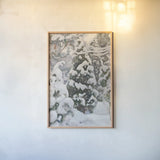 Juniper Tree In The Snow by Wild Apple Portfolio. shown as a paper print in a natural frame. Available as a archival giclee rolled canvas, fine art paper, or poster print. SKU 104293h.
