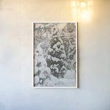 Juniper Tree In The Snow by Wild Apple Portfolio. shown as a paper print in a white frame. Available as a archival giclee rolled canvas, fine art paper, or poster print. SKU 104293h.