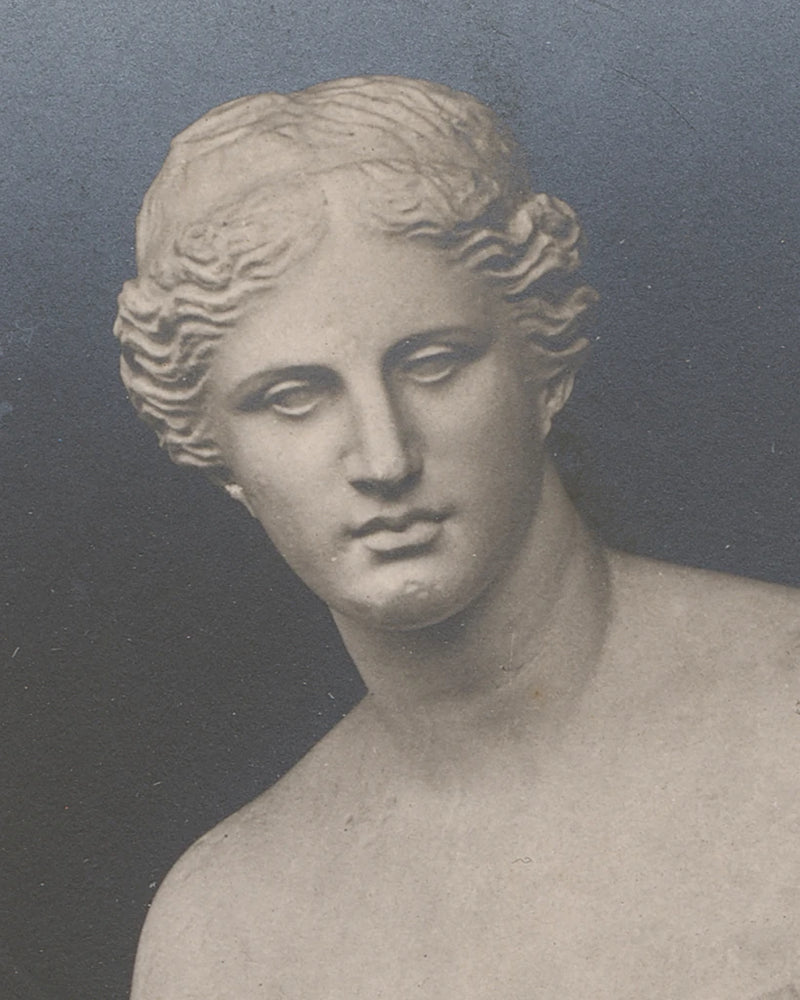 La Venus de Milo Crop by Wild Apple Portfolio