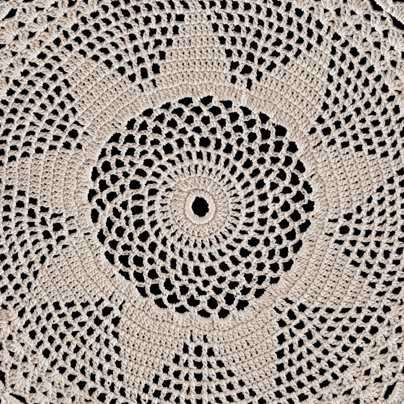 Lace I by Wild Apple Portfolio. SKU 86067a. Archival Giclee Fine art print for wall decor.