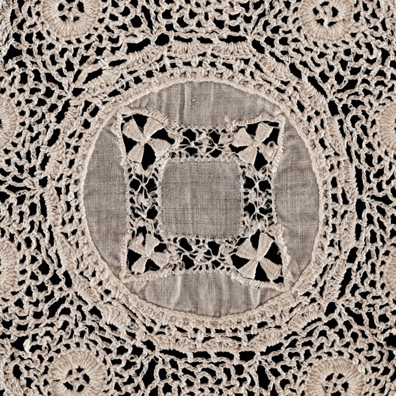 Lace II by Wild Apple Portfolio. SKU 86068a. Archival Giclee Fine art print for wall decor.