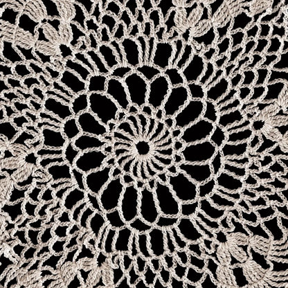 Lace IV by Wild Apple Portfolio. SKU 86070a. Archival Giclee Fine art print for wall decor.