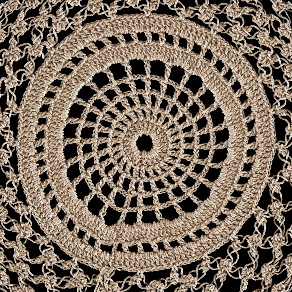 Lace V by Wild Apple Portfolio. SKU 86071a. Archival Giclee Fine art print for wall decor.