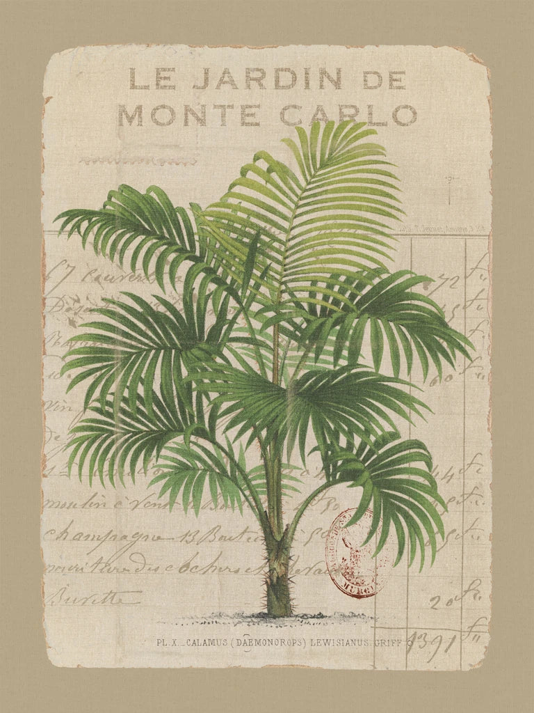 Le Jardin de Monte Carlo by Wild Apple Portfolio