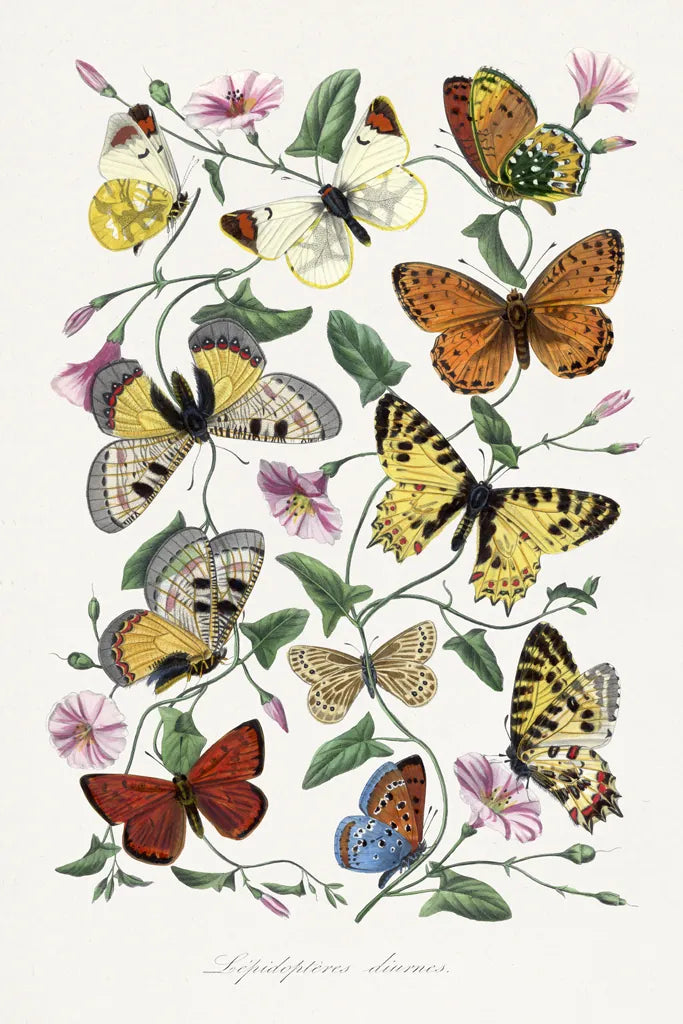 Le Jardin des Plantes by Wild Apple Portfolio. SKU 85742h. Archival Giclee Fine art print for wall decor.