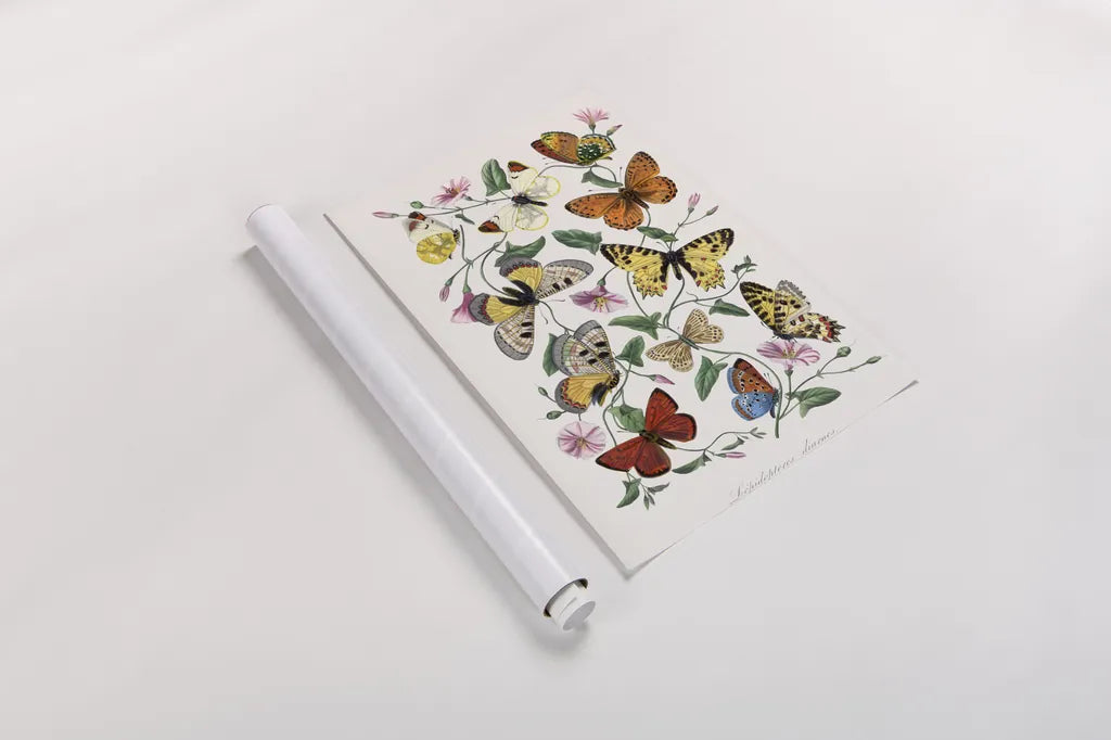 Le Jardin des Plantes by Wild Apple Portfolio. shown as a rolled paper print. Available as archival giclee rolled canvas, fine art paper, or poster print. SKU 85742h.