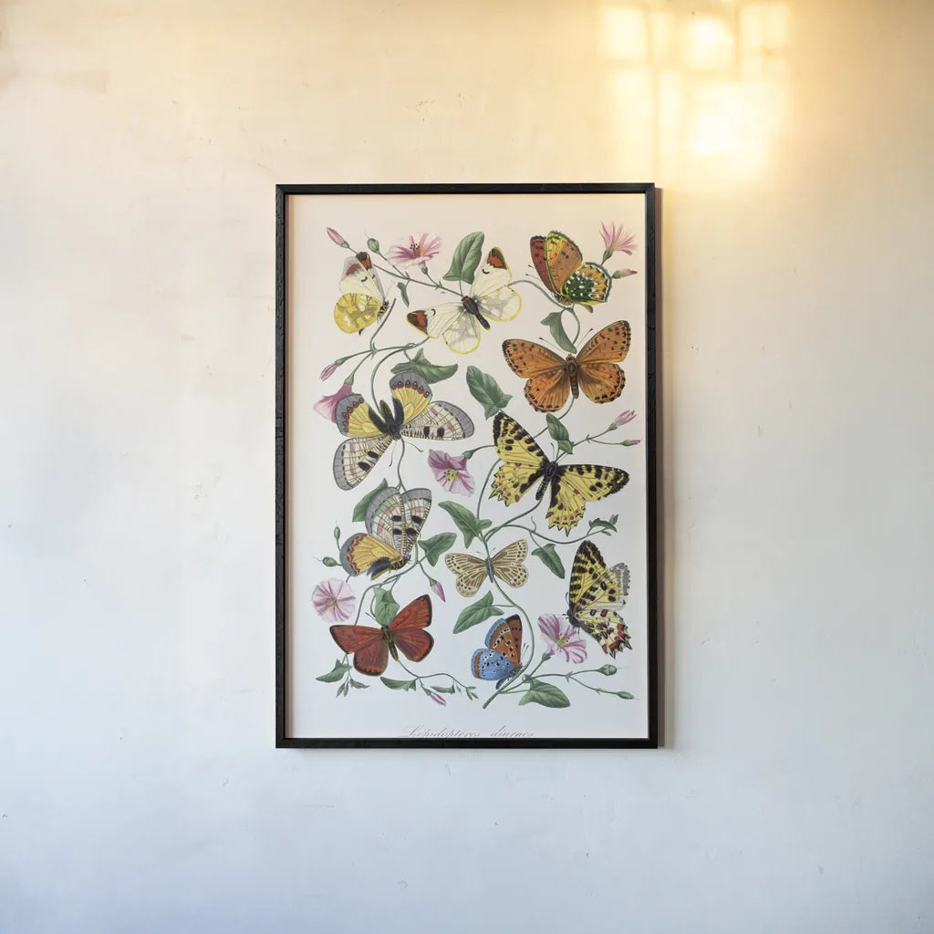Le Jardin des Plantes by Wild Apple Portfolio. shown as a paper print in a black flame. Available as a archival giclee rolled canvas, fine art paper, or poster print. SKU 85742h.