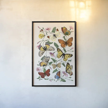 Le Jardin des Plantes by Wild Apple Portfolio. shown as a paper print in a black flame. Available as a archival giclee rolled canvas, fine art paper, or poster print. SKU 85742h.