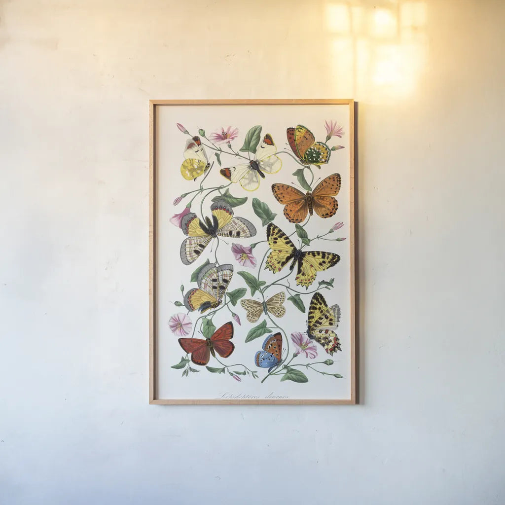 Le Jardin des Plantes by Wild Apple Portfolio. shown as a paper print in a natural frame. Available as a archival giclee rolled canvas, fine art paper, or poster print. SKU 85742h.