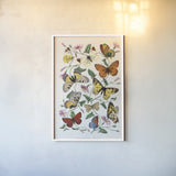 Le Jardin des Plantes by Wild Apple Portfolio. shown as a paper print in a white frame. Available as a archival giclee rolled canvas, fine art paper, or poster print. SKU 85742h.