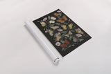 Le Jardin des Plantes Black by Wild Apple Portfolio. shown as a rolled paper print. Available as archival giclee rolled canvas, fine art paper, or poster print. SKU 88629h.