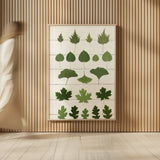 Leaf Chart I Shiplap by Wild Apple Portfolio. shown as over sized large wall art. Available as an archival giclee rolled canvas, fine art paper, or poster print. SKU 46604h.