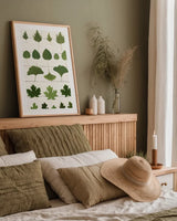 Leaf Chart I Shiplap by Wild Apple Portfolio. shown as a paper print in a natural frame. Available as a archival giclee rolled canvas, fine art paper, or poster print. SKU 46604h.
