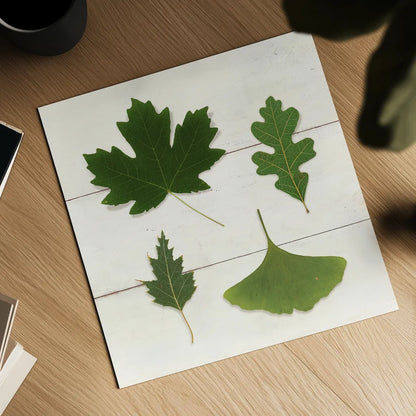 Leaf Chart II Shiplap by Wild Apple Portfolio. Shown as a detailed flat fine art print, highlighting archival giclee quality. Available as an archival giclee rolled canvas, fine art paper, or poster print. SKU 46605a.