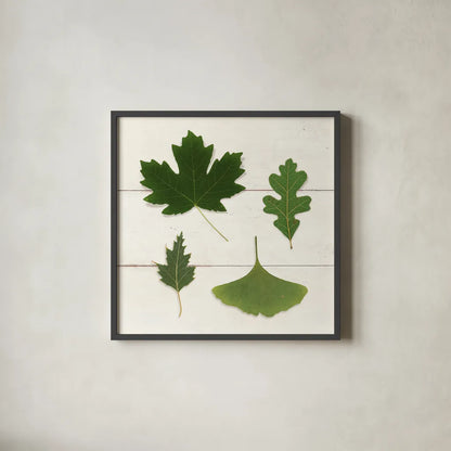 Leaf Chart II Shiplap by Wild Apple Portfolio. Shown in a sleek black glass frame for a contemporary gallery look. Available as an archival giclee rolled canvas, fine art paper, or poster print. SKU 46605a.