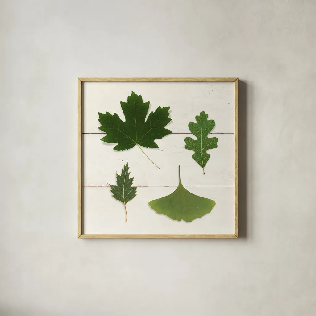 Leaf Chart II Shiplap by Wild Apple Portfolio. Shown in a natural wood glass frame for a timeless modern aesthetic. Available as an archival giclee rolled canvas, fine art paper, or poster print. SKU 46605a.