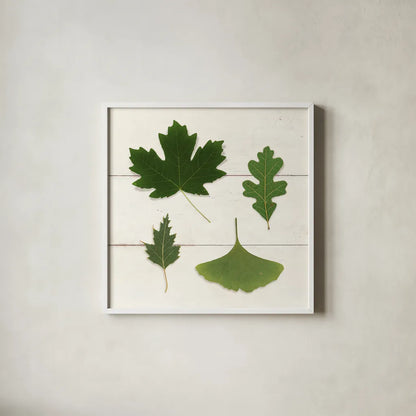 Leaf Chart II Shiplap by Wild Apple Portfolio. Shown in a crisp white glass frame for a clean and minimalist style. Available as an archival giclee rolled canvas, fine art paper, or poster print. SKU 46605a.